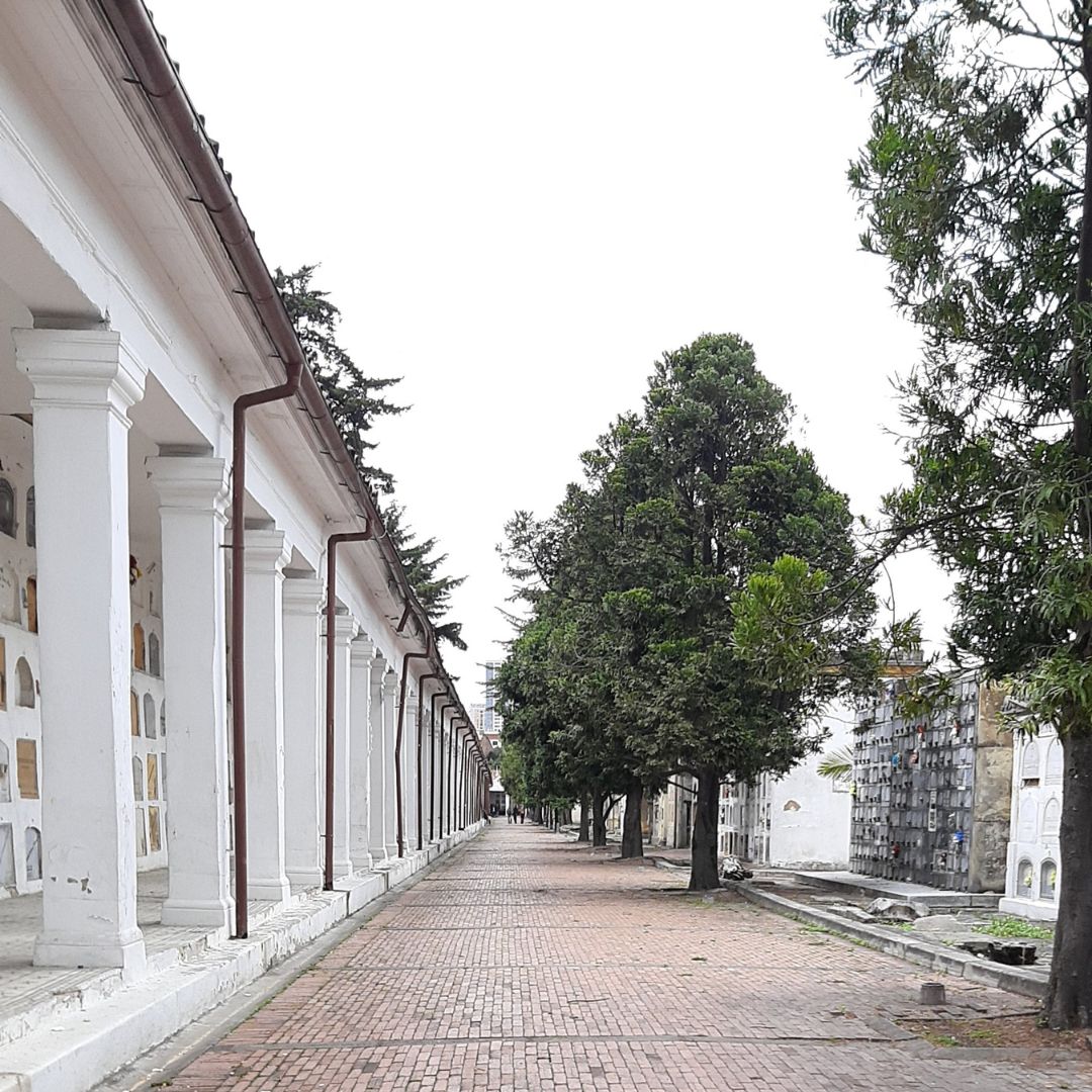 Sendero en el cementerio